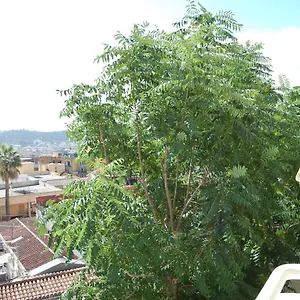  Appartement Signorile Iun S0575